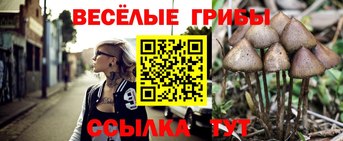 Псилоцибиновые грибы Cubensis  Вход с VPN  Воскресенск  Галлюциногенные грибы Psilocybine cubensis 